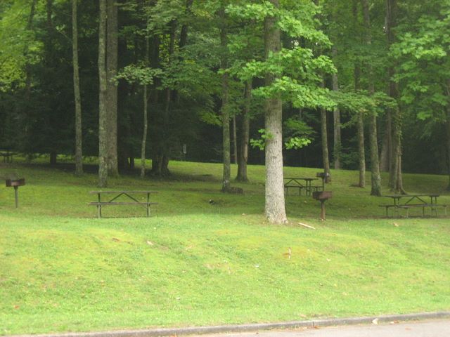 Cosby in the Smoky Mountains Picnic Area